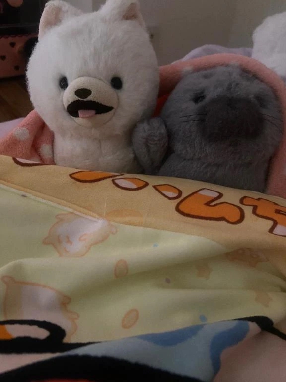 少しだけ