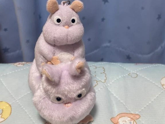 ありがとう‎🤍‎🤍