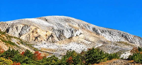 ⛰️🪜🐶